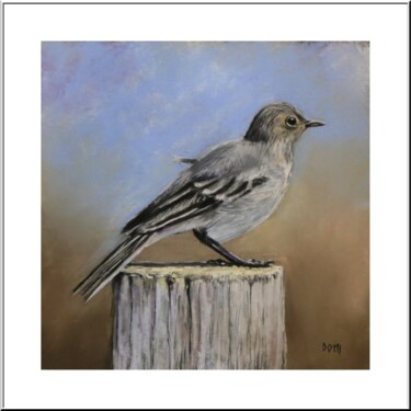 Dessin intitulée "Bergeronette juveni…" par Artelierdedomi, Œuvre d'art originale, Pastel