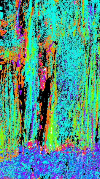 Digital Arts titled "Réalité parallèle" by Cj Perin, Original Artwork, Digital Painting