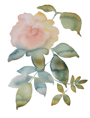 Rose Study No. 80 绘画 标题为“Rose Study No. 80” 由Elizabeth Becker, 原创艺术品, 水彩
