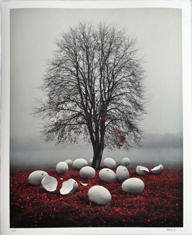 Fotografia intitulada "Hibernation 2/3" por Bettina Dupont, Obras de arte originais, Fotografia digital