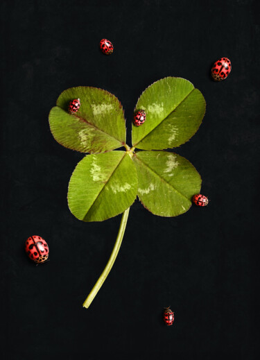 Photography titled "Porte-bonheur 2/3" by Bettina Dupont, Original Artwork, Digital Photography