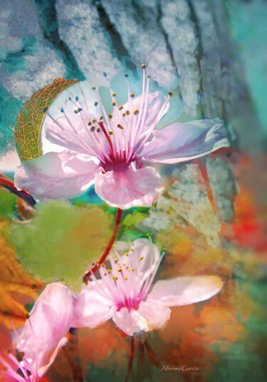 数字艺术 标题为“Flores 9” 由Alfonso García, 原创艺术品, 数码摄影