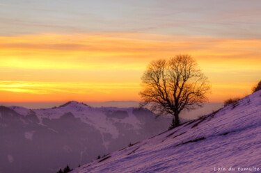 Photography titled "L'arbre" by Emilie Pandreau (Loin du tumulte), Original Artwork, Digital Photography Mounted on Aluminium