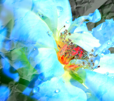 摄影 标题为“Flores 13” 由Alfonso García, 原创艺术品, 数码摄影