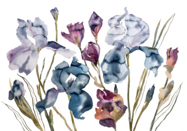 Irises No. 2 绘画 标题为“Irises No. 2” 由Elizabeth Becker, 原创艺术品, 水彩