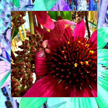 Fotografie mit dem Titel "Blütenrot" von Frank Wichmann (sinnesreiz.art), Original-Kunstwerk, Digitale Fotografie