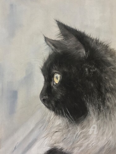Expectation. One cat portrait. Рисунок под названием "Expectation. One ca…" - Irene_art, Подлинное произведение искусства, Пастель
