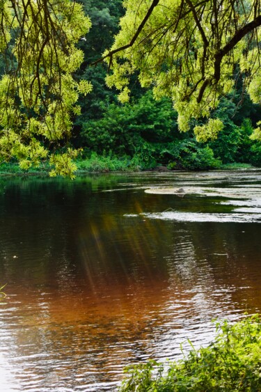 Photography titled "Fairy River Photogr…" by Maxime Guengant, Original Artwork, Digital Photography