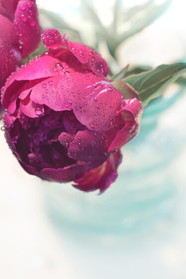 "Flowerissimo_11434" başlıklı Fotoğraf Michael Vdovin tarafından, Orijinal sanat, Dijital Fotoğrafçılık