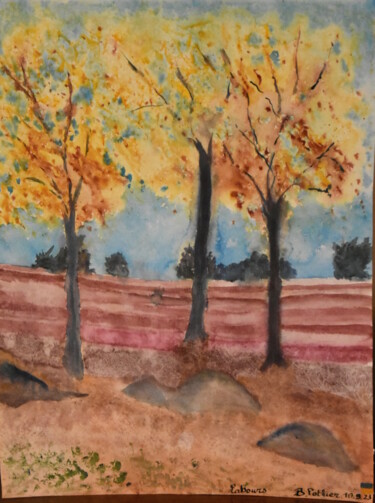 Schilderij getiteld "Labours" door Bernard Pothier, Origineel Kunstwerk, Aquarel