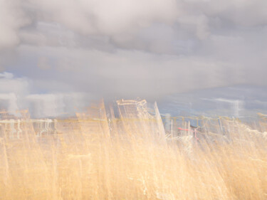 Photography titled "Marsh Song" by André Pillay, Original Artwork, Manipulated Photography