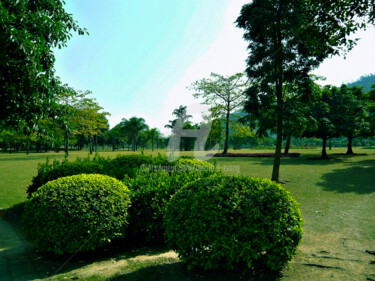 China - Nansha Phoenix Lake Park #2 Photography titled "China - Nansha Phoe…" by Clement Tsang, Original Artwork, Digital Photography