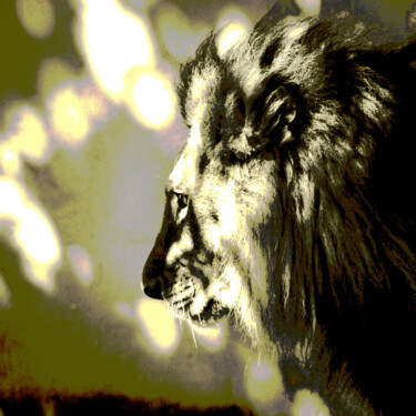 Photography titled "Savannas 6" by Sergio Benetti, Original Artwork, Digital Photography