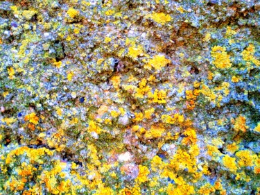 Fotografia intitolato "Funghi gialli" da Peppeluciani, Opera d'arte originale, Fotografia manipolata