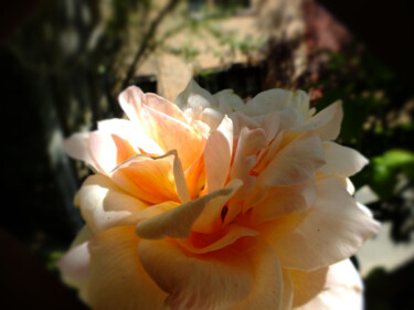 Photography titled "Flores 15" by Alfonso García, Original Artwork, Digital Photography