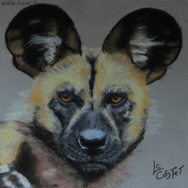 Peinture intitulée "lycaon 2" par Catherine Costet (Lccat), Œuvre d'art originale, Pastel