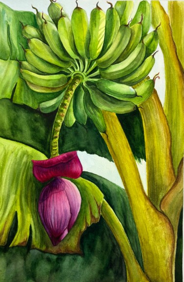 Ζωγραφική με τίτλο "Banana blossom: vib…" από Tetiana Vlasenko, Αυθεντικά έργα τέχνης, Ακουαρέλα
