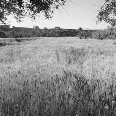 Photography titled "Terre féconde" by D. Oms, Original Artwork, Digital Photography