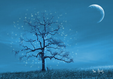 数字艺术 标题为“Arbre astraliens” 由Max Parisot Du Lyaumont, 原创艺术品, 数字油画