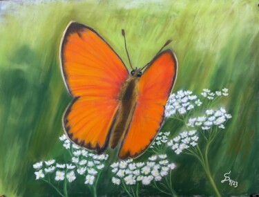 Malerei mit dem Titel "Feuerfalter" von Stefan Dhein, Original-Kunstwerk, Pastell