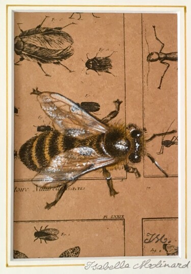 Peinture intitulée "Abeille" par Isabelle Molinard, Œuvre d'art originale, Aquarelle