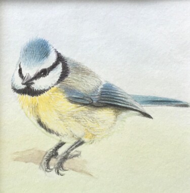 Peinture intitulée "Mésange" par Isabelle Molinard, Œuvre d'art originale, Aquarelle