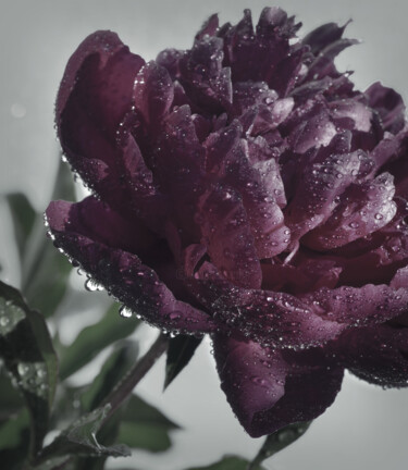 "Flowerissimo_19114" başlıklı Fotoğraf Michael Vdovin tarafından, Orijinal sanat, Dijital Fotoğrafçılık