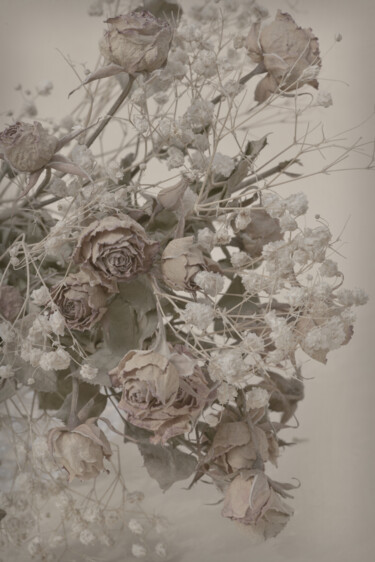 摄影 标题为“Flowerissimo_12464” 由Michael Vdovin, 原创艺术品, 数码摄影