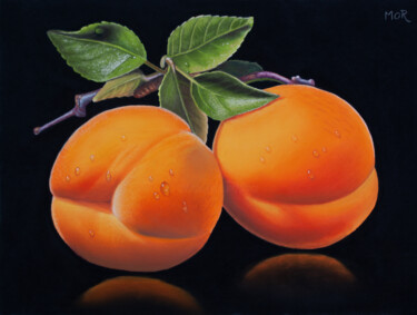 绘画 标题为“Apricots and Leaves” 由Dietrich Moravec, 原创艺术品, 粉彩