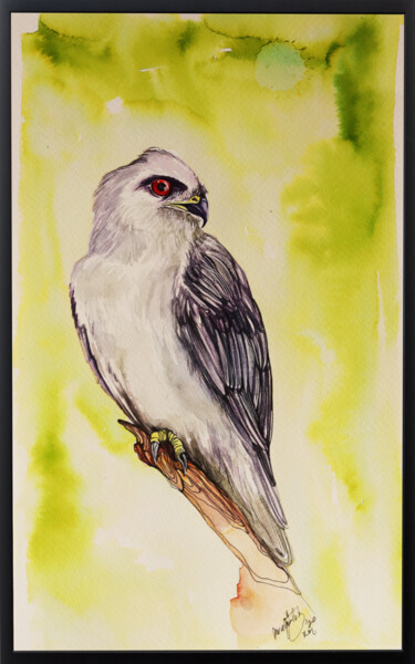 Painting titled "HAWK" by Merve Gürlek, Original Artwork, Watercolor