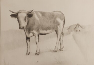 Dessin intitulée "Freedom Road" par Bilgehan Altinoglu, Œuvre d'art originale, Crayon