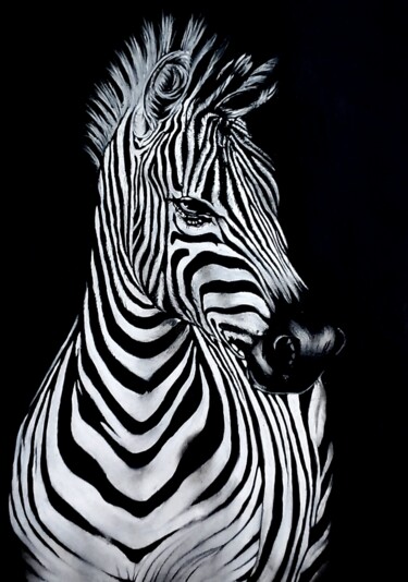 Tekening getiteld "Portrait zèbre" door Laetitia Passion Dessin, Origineel Kunstwerk, Pastel