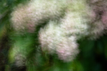 Fotografie getiteld "Hortensia 93 à la p…" door Thierry Martin, Origineel Kunstwerk, Digitale fotografie