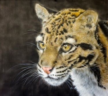 Secret Cat - Silk painted Clouded Leopard portrait 绘画 标题为“Secret Cat - Silk p…” 由Olga Belova, 原创艺术品, 墨