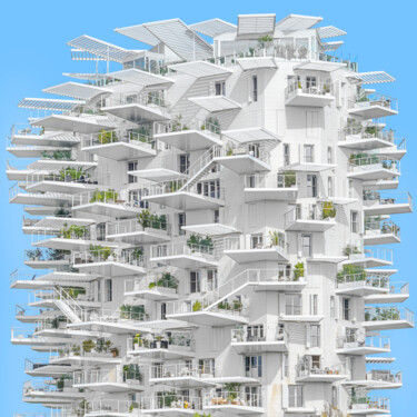 l'arbre blanc 2023 Photography titled "l'arbre blanc 2023" by Emmanuel Passeleu, Original Artwork, Digital Photography