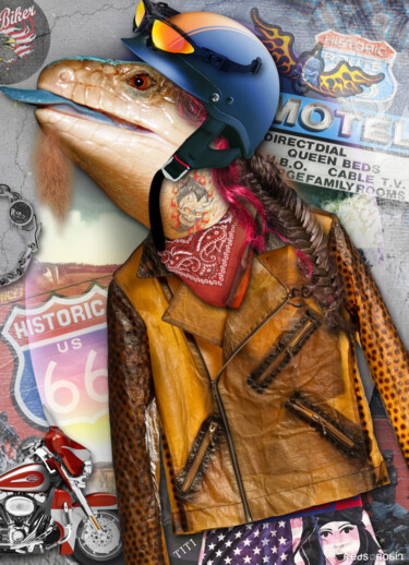 Arts numériques intitulée "TiTi 66 - Arizona" par Karine Garelli (Reds Robin), Œuvre d'art originale, Photo montage