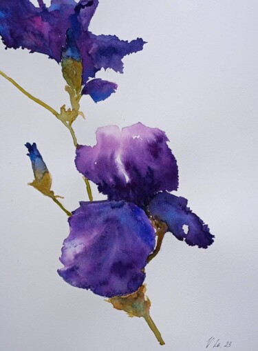 Malarstwo zatytułowany „Iris” autorstwa Viktoriia Lebedynska, Oryginalna praca, Akwarela