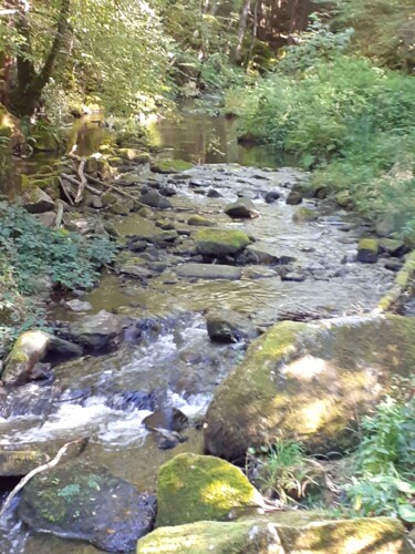 Photographie intitulée "rivière 01" par Mf Arts-Créations, Œuvre d'art originale, Photographie numérique