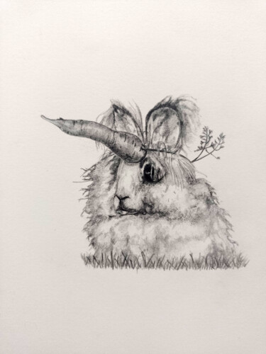 Je suis une licorne (je m'identifie à ...)