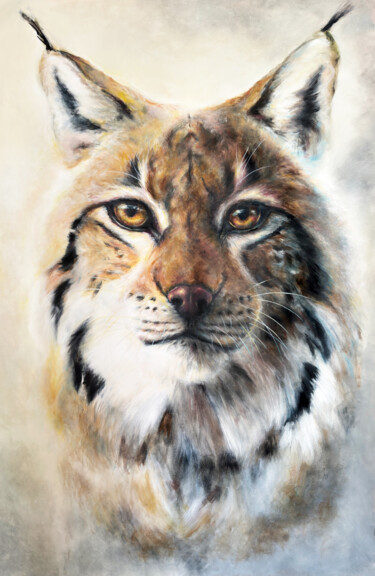 Lynx Boréal