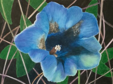 Peinture intitulée "FLEUR SAUVAGE BLEUE" par Jacques Tafforeau, Œuvre d'art originale, Aquarelle