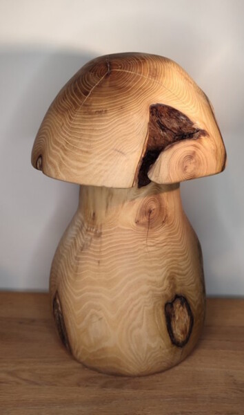 Scultura intitolato "Robinia mushroom" da Ruben Verschueren, Opera d'arte originale, Legno