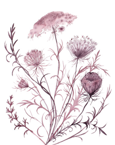 绘画 标题为“Queen Anne's Lace N…” 由Elizabeth Becker, 原创艺术品, 水彩