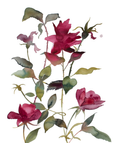 绘画 标题为“Rose Study No. 84” 由Elizabeth Becker, 原创艺术品, 水彩