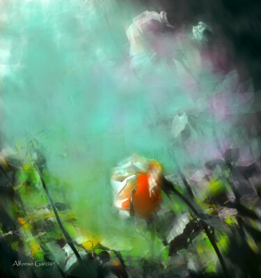 Photography titled "Flores 20" by Alfonso García, Original Artwork, Digital Photography