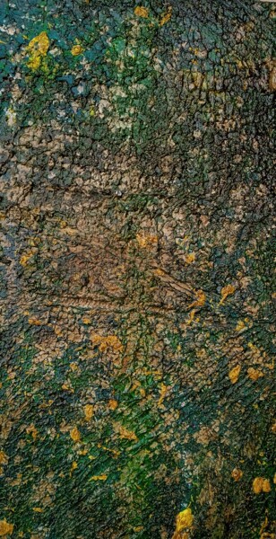 Pittura intitolato "MUSCHI E LICHENI 2/…" da Peppeluciani, Opera d'arte originale, Acrilico