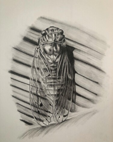 Tekening getiteld "Provence 2" door Christelle Rossi Ligouzat (Chris Rossi), Origineel Kunstwerk, Potlood