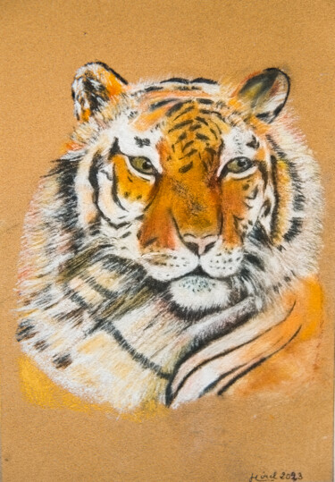 Painting titled "tigre" by Monique Hirel, Original Artwork, Pastel