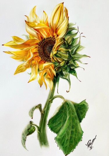 Painting titled "Подсолнух" by Oksana Kuzmina (Soult), Original Artwork, Watercolor