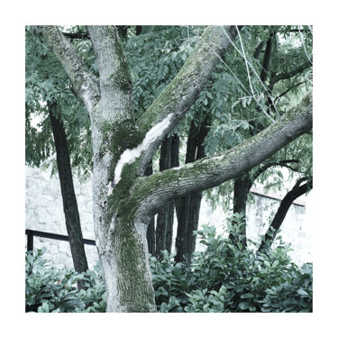 Photography titled "Xanadu" by Zheka Khalétsky, Original Artwork, Non Manipulated Photography